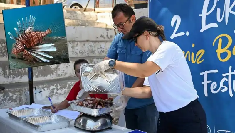 Antalya'da Heyecan Verici İstilacı Aslan Balığı Avlama Yarışması Düzenleniyor
