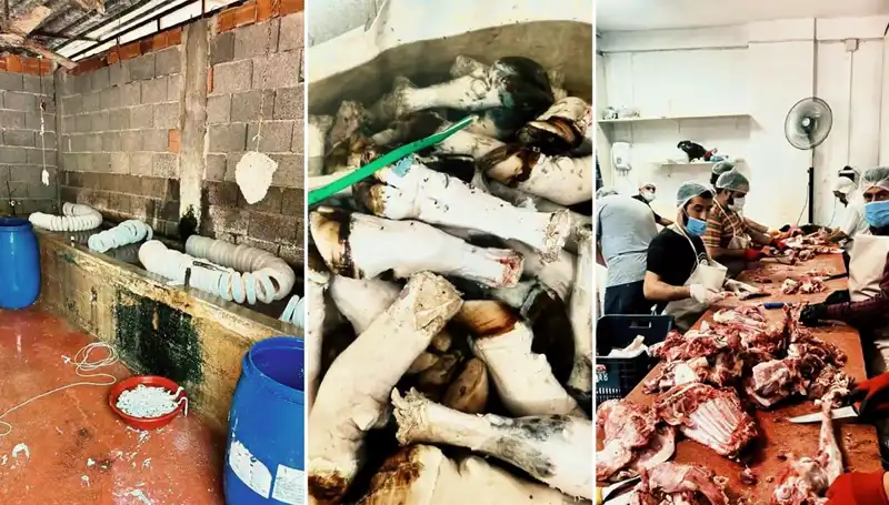Adana'da Şok Edici Mide Bulandıran Görüntüler: Yüzlerce Kilo Ele Geçirildi