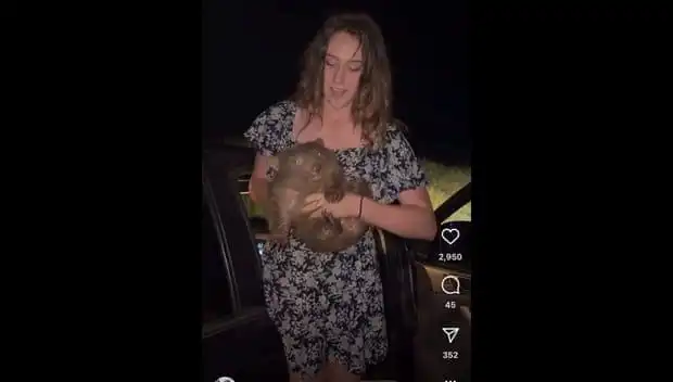 Yavru Hayvanı Annesinden Ayıran Genç, Ülkeyi Terk Etmek Zorunda Kaldı!