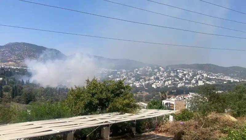 Muğla’daki Orman Yangınları Kontrol Altına Alındı, Zararlar Sınırlandırıldı