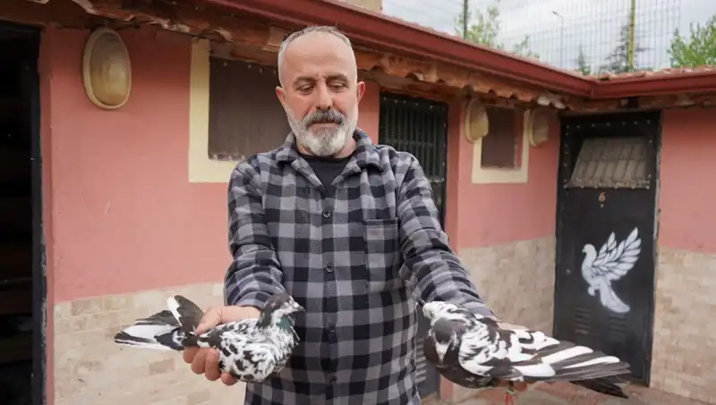 42 Yılın Emekleri: Bir Hobi Nasıl Profesyonel Tesis Haline Gelir?