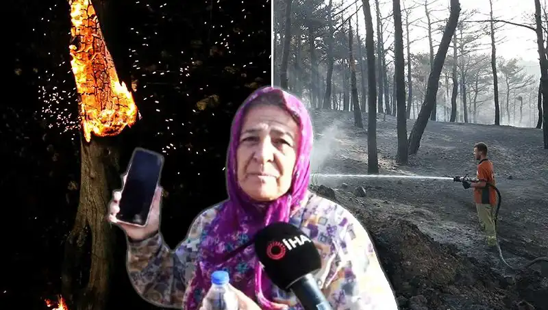 Çanakkale Orman Yangınları Kontrol Altına Alındı: Kaybolan Hayatlar ve Gelecek Tehditleri