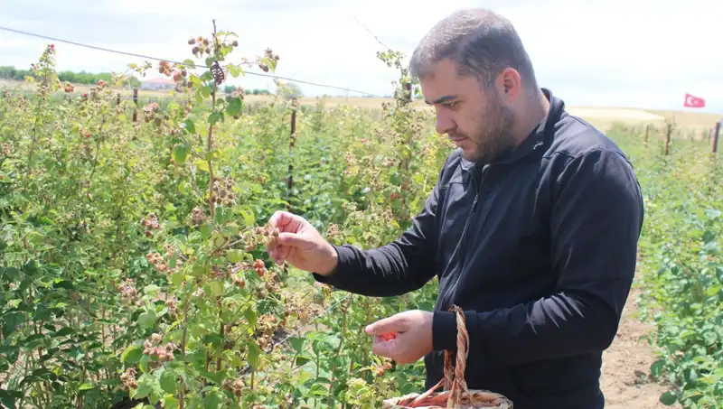 Hobi Olarak Başlanan İşte Talep Patlaması: Genç Girişimci Ne Yapacak?