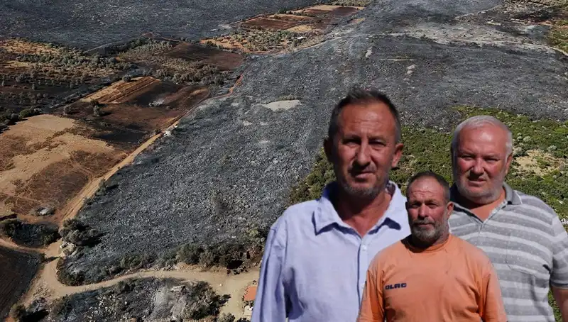 Çeşme Yangını: Yürekler Dağlayan Acı Bilanço Ortaya Çıktı
