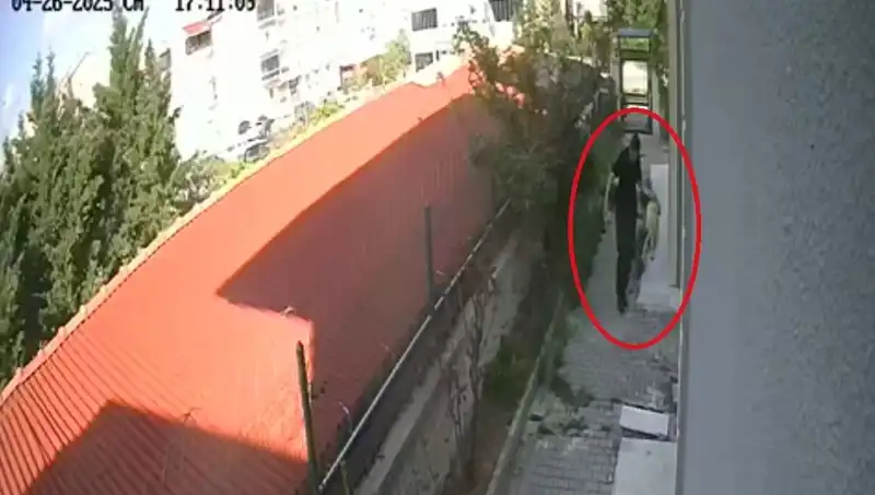 Veteriner Hekim, Sahiplendiği Köpekleri Evinde Parçaladı: Şok Edici Gelişmeler