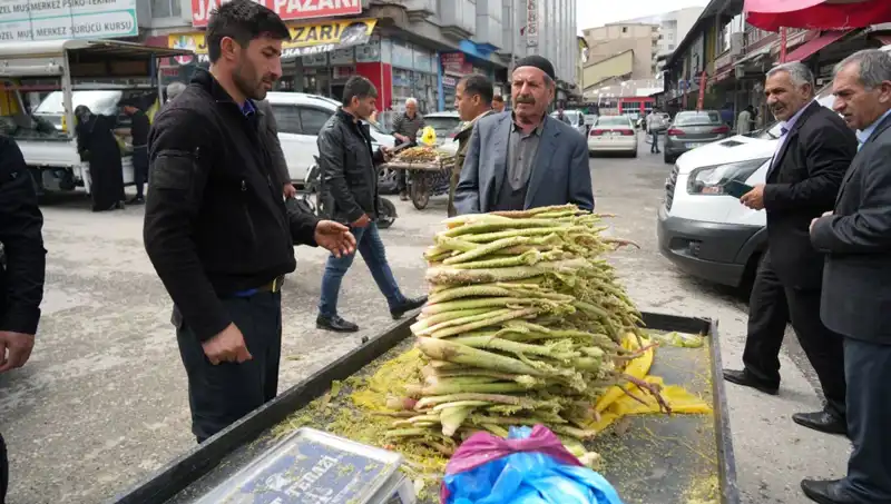 Dağlık Alanların Şifalı İksiri: Şekerin Sağlık Üzerindeki Etkileri