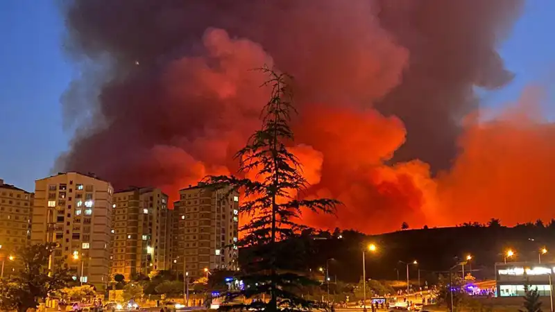 Bursa'da Yangınlar Şehri Tehdit Ediyor: Nedenleri ve Sonuçları