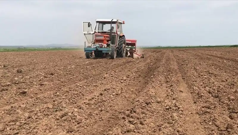 Son 35 Yılın En Kurak Mart Ayı: İklim Değişikliği Kapıda mı?