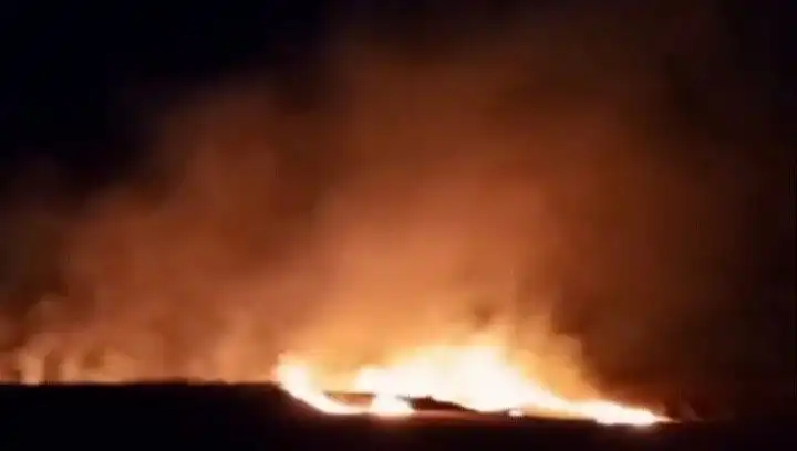 Tekirdağ'da 20 Dekar Buğday Tarlasını Vuran Yangın: Çiftçiler Üzgün