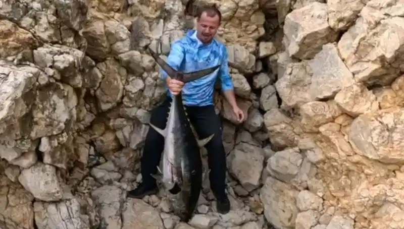 Saros’ta 30 Kilo Ağırlığında Dev Balık Oltaya Takıldı!