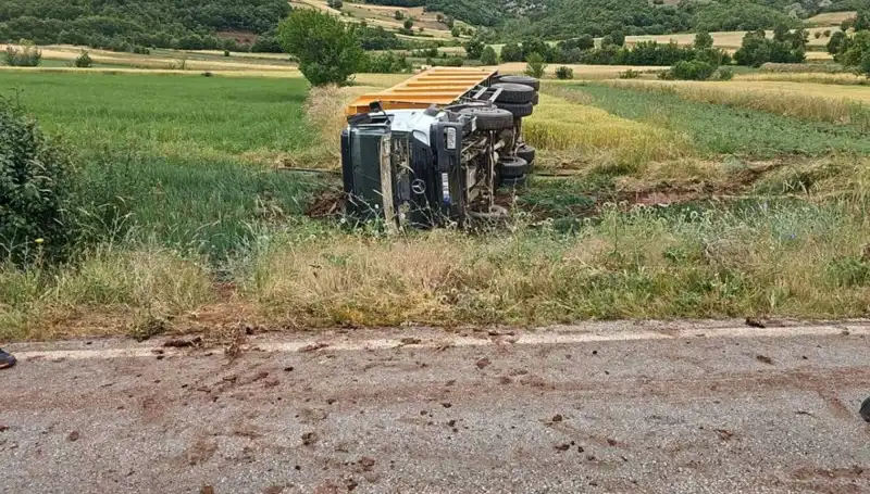 Tokat'ta Kamyon Devrildi: Korkunç Kazada Şoför Hayatını Kaybetti