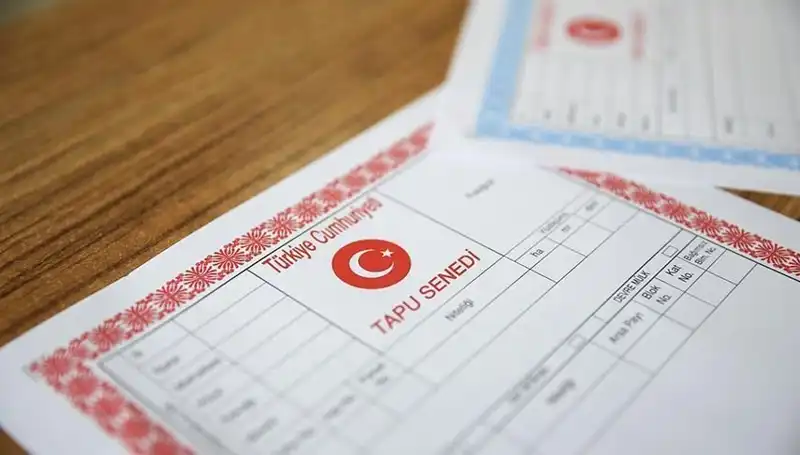 "Hisseli Tapu Yalanına Düşenler: 100 Milyonluk Dolandırıcılık Ağı Deşifre Edildi"