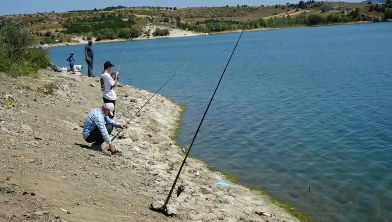 Baraj Kafesler Patladı: Korku Dolu Anlar ve Koşuşturma!